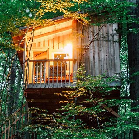 Baumhaushotel Solling Услар Екстериор снимка