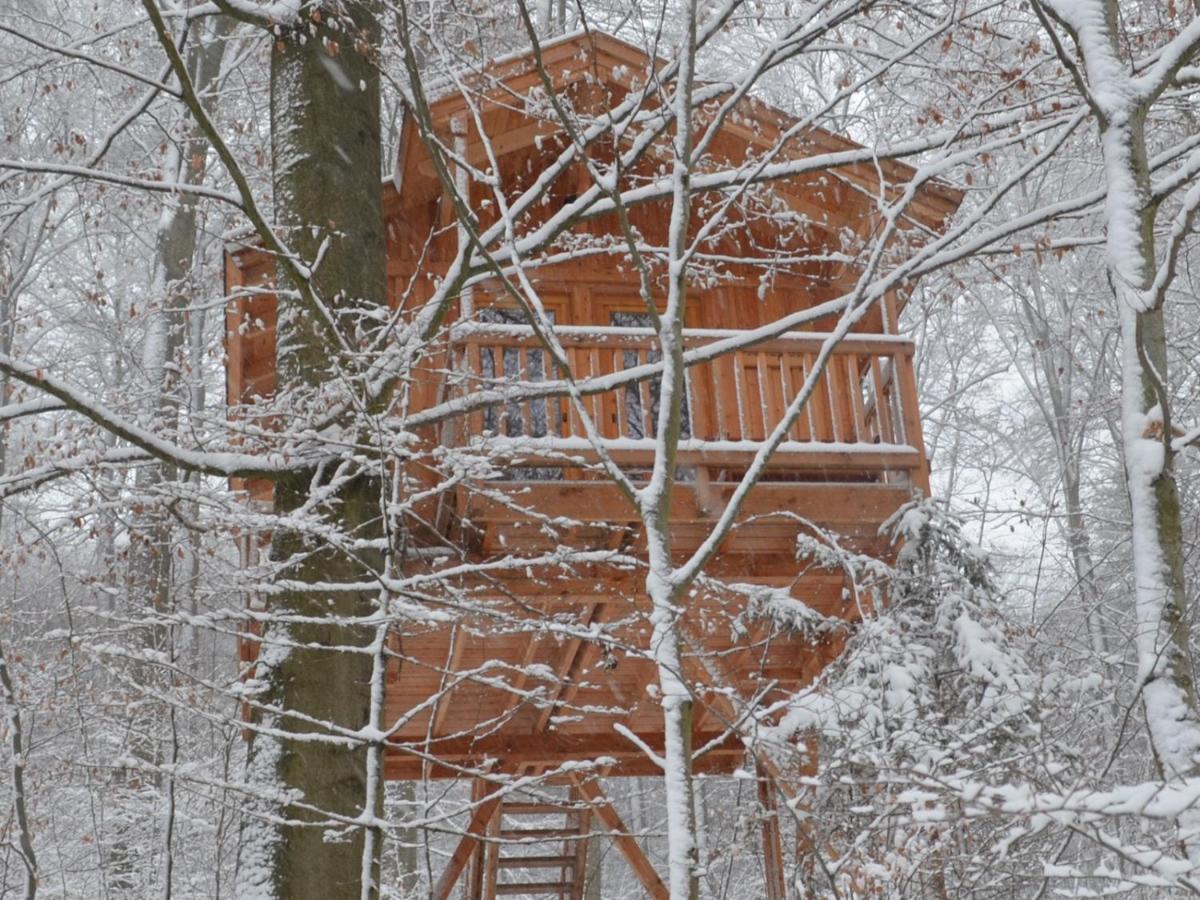 Baumhaushotel Solling Услар Екстериор снимка