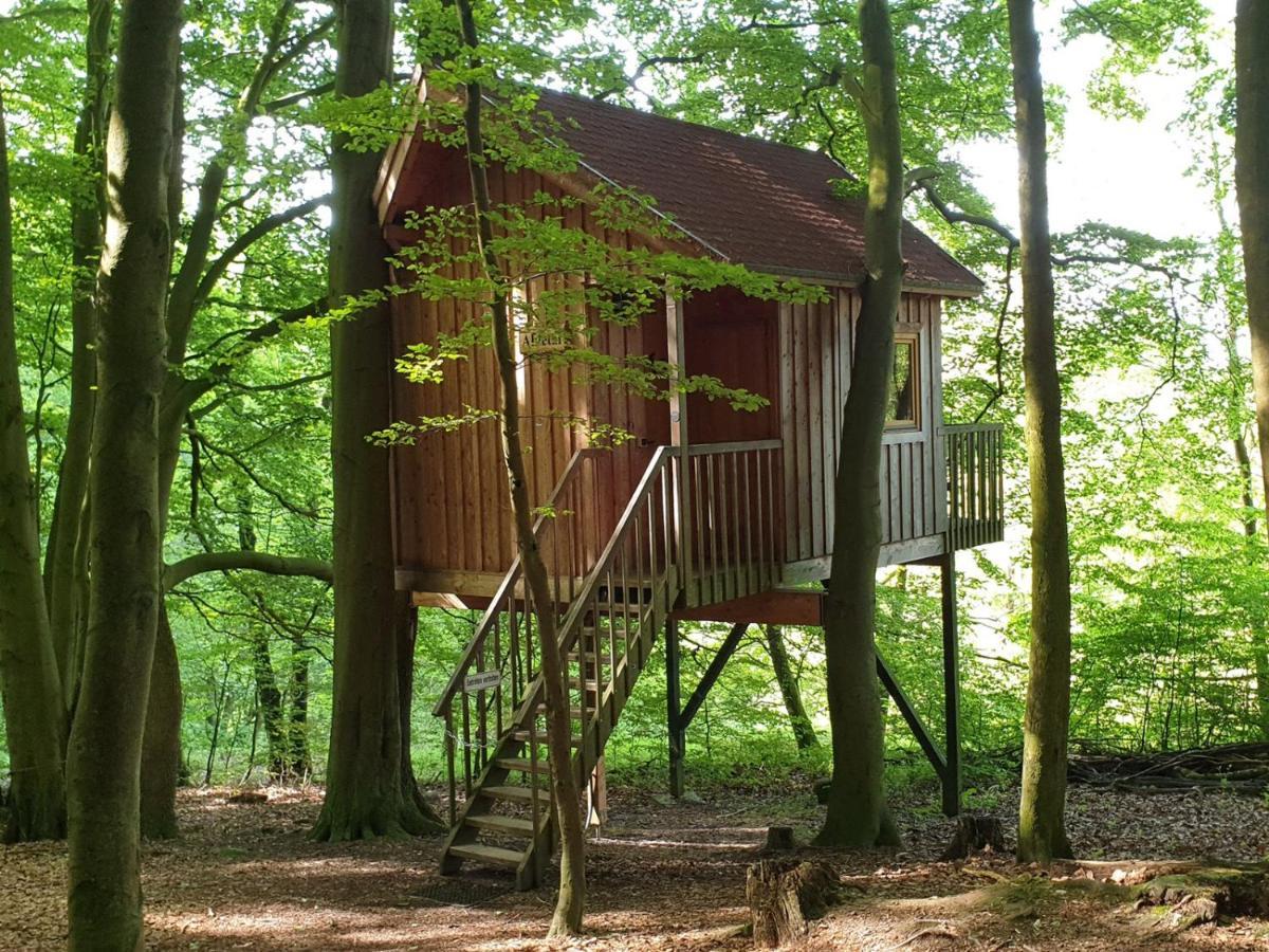 Baumhaushotel Solling Услар Екстериор снимка