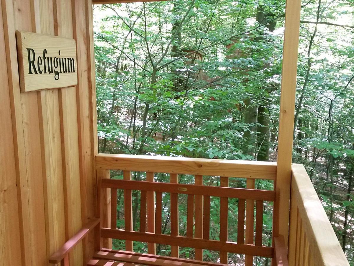 Baumhaushotel Solling Услар Екстериор снимка