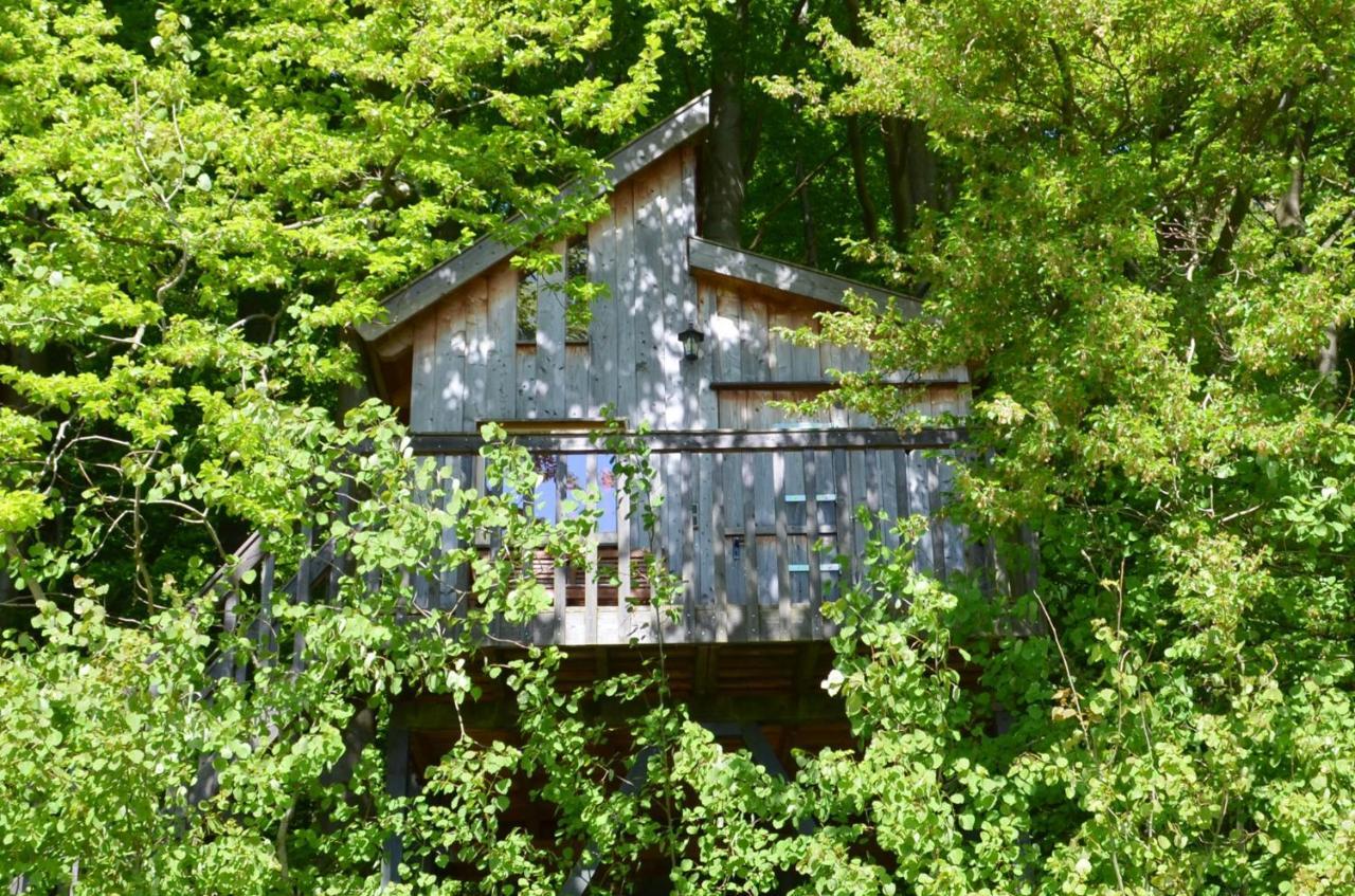 Baumhaushotel Solling Услар Екстериор снимка