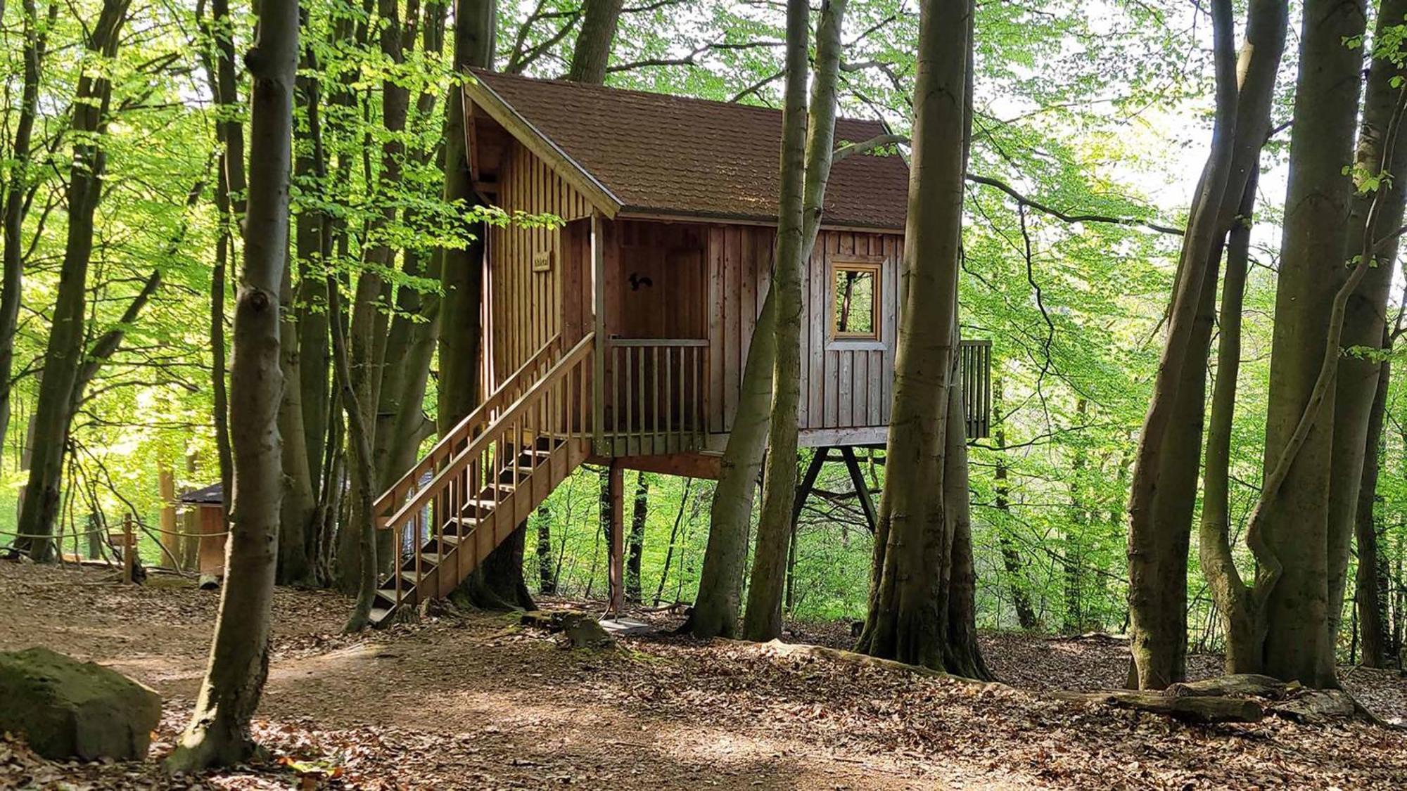 Baumhaushotel Solling Услар Екстериор снимка