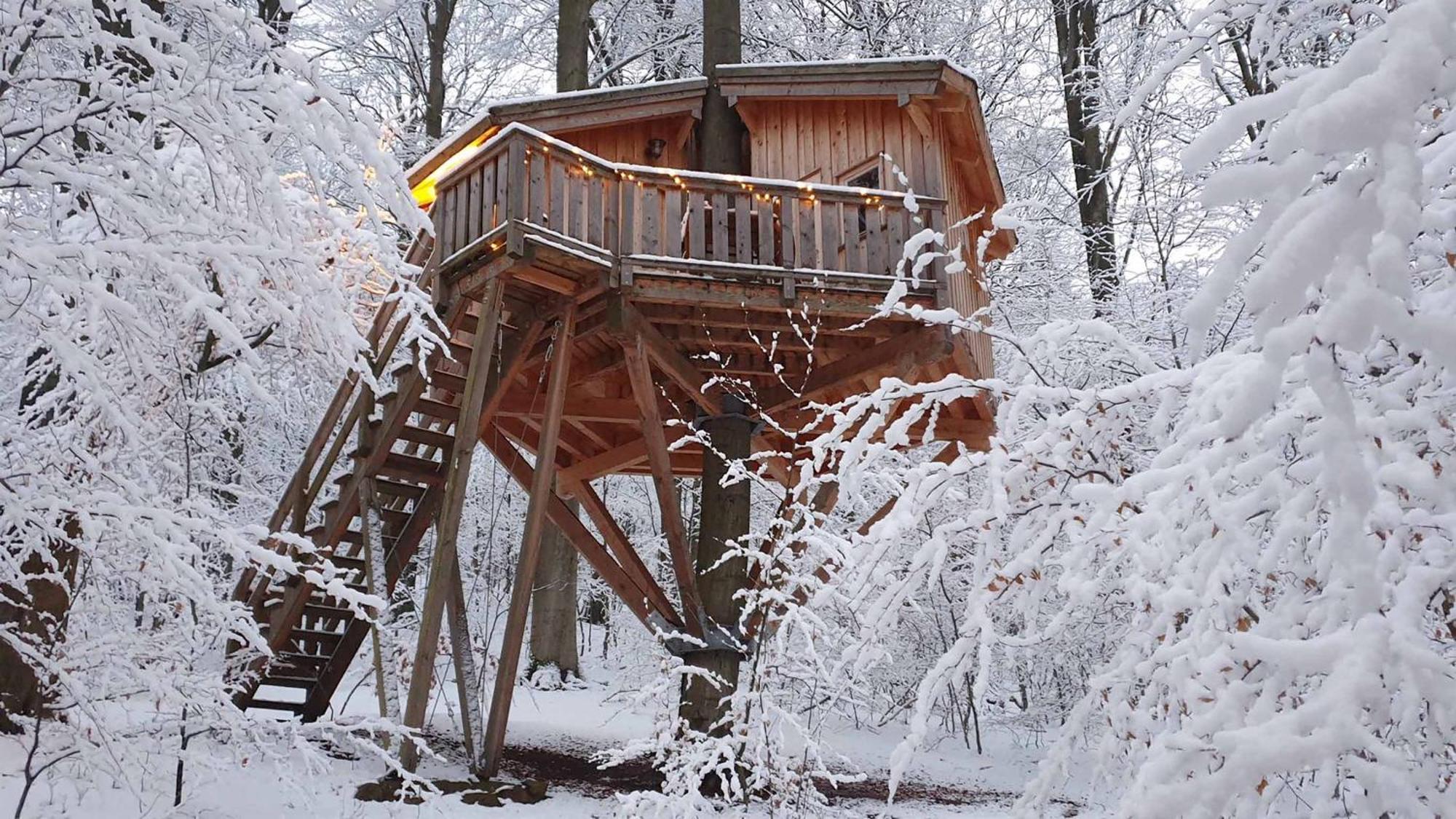 Baumhaushotel Solling Услар Екстериор снимка