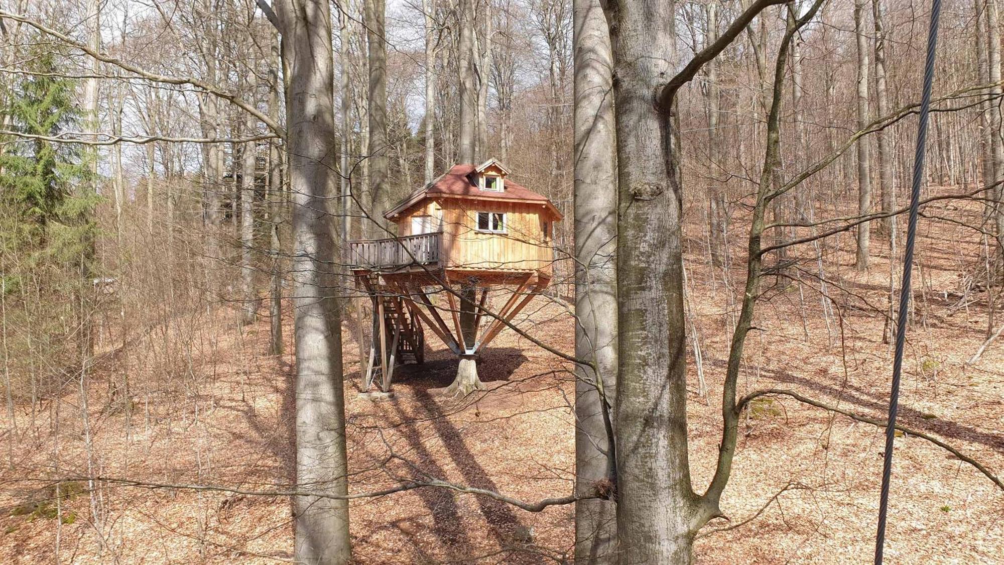 Baumhaushotel Solling Услар Екстериор снимка