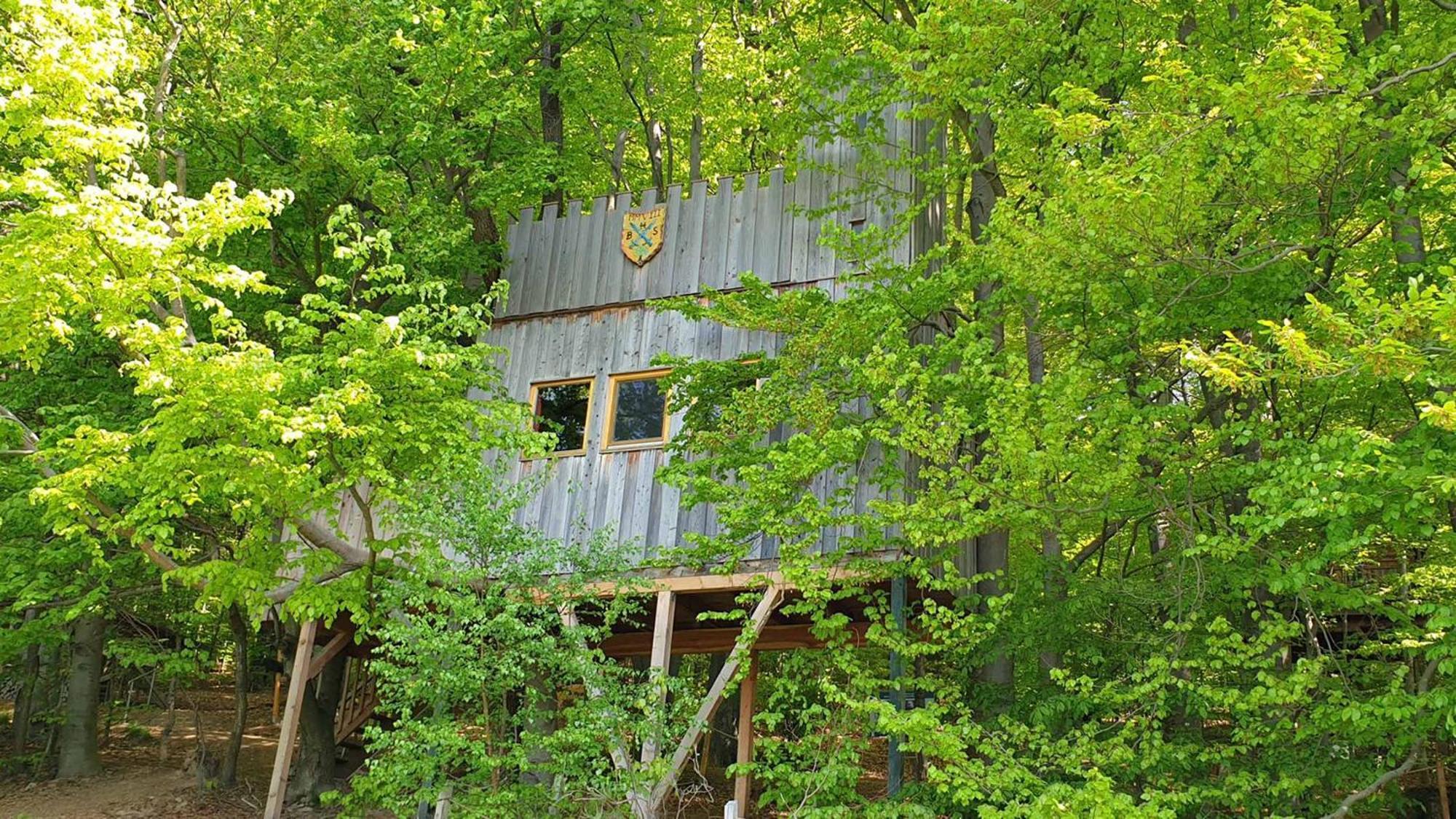 Baumhaushotel Solling Услар Екстериор снимка