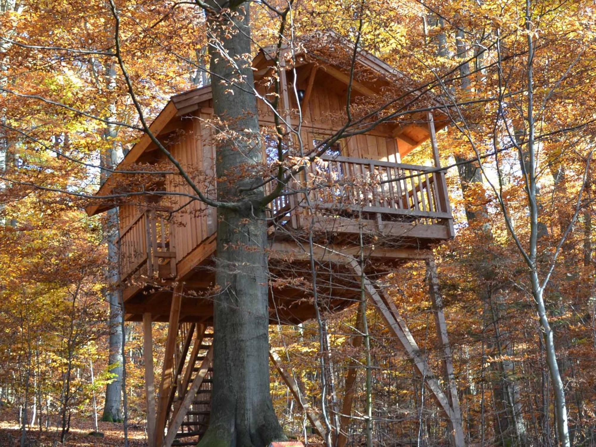 Baumhaushotel Solling Услар Екстериор снимка